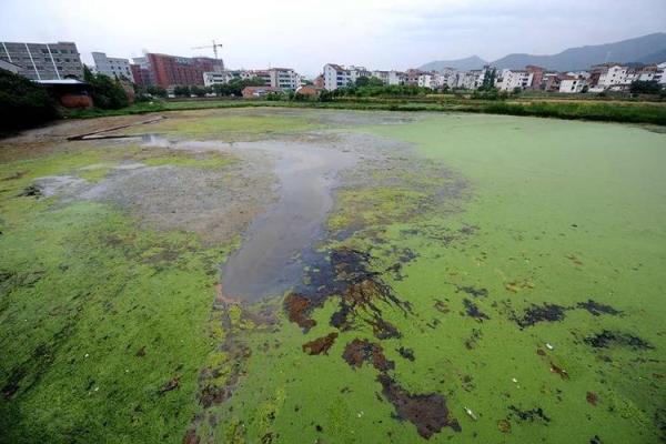 臭水塘房子风水讲究图片