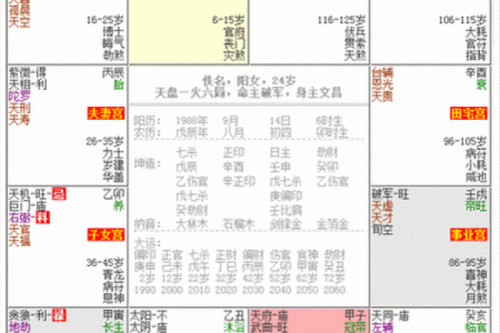 紫薇命盘免费详解 如何免费详解紫薇命盘