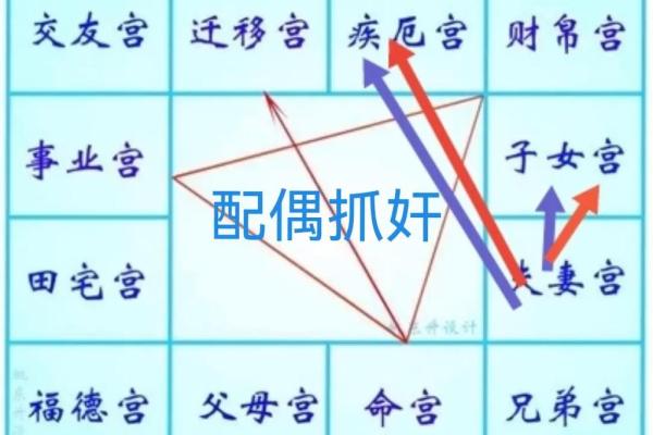 紫薇斗数如何排盘图