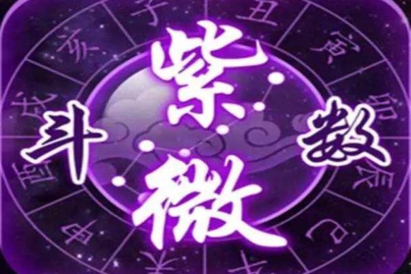 紫薇斗数身宫
