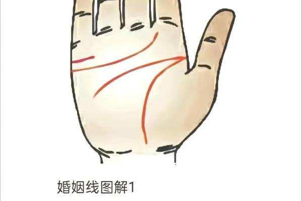 看手相算命图解：手相看婚姻