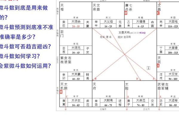生年紫微斗数 紫薇斗数生年忌？