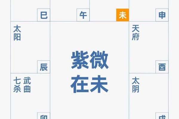 生年紫微斗数 紫薇斗数生年忌？