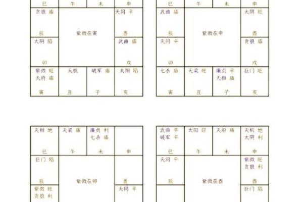 紫薇斗数不成命格