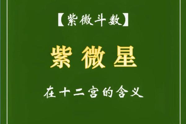 紫薇斗数紫薇入命