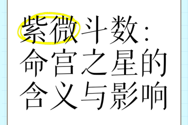紫薇星盘什么意思