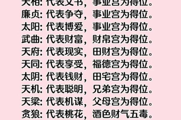紫薇斗数全书架构