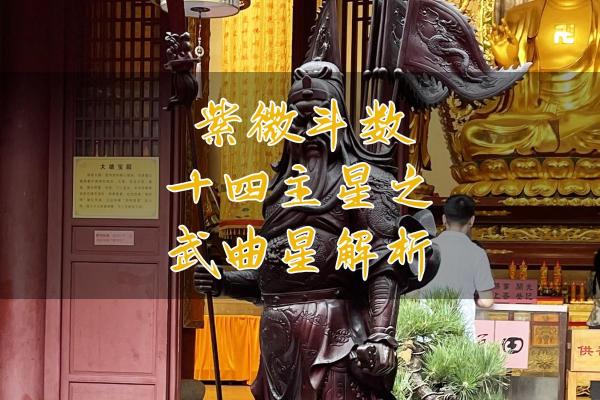 紫微斗数之兄弟宫与诸星,武曲星在兄弟宫是什么意思？