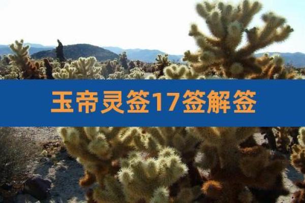 玉帝灵签35