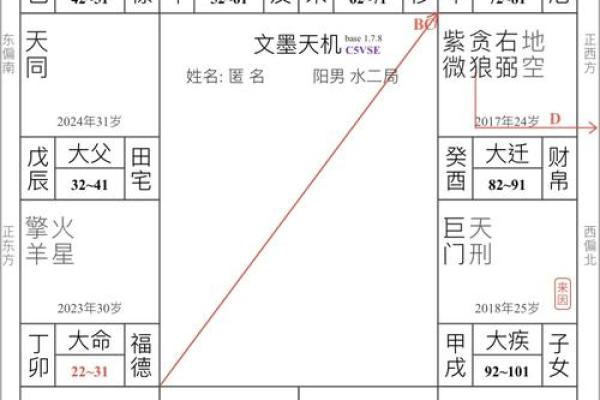 紫薇斗数没有入格局