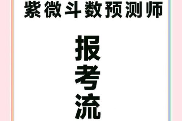 考试上岸紫薇斗数