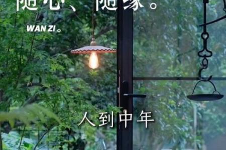 人到中年，养好自己的风水（深度好文）