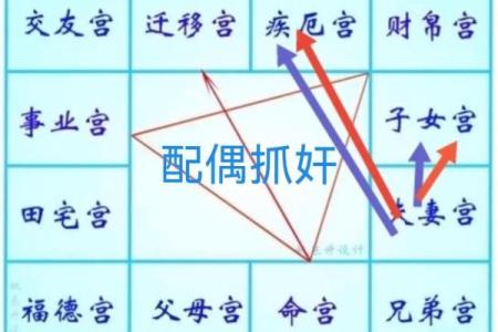 紫薇斗数如何排盘图