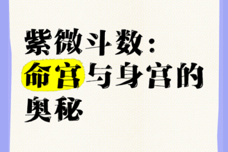 紫薇斗数身宫