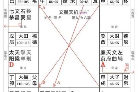 紫微斗数排盘方法，斗数出生年月日时的推算规则