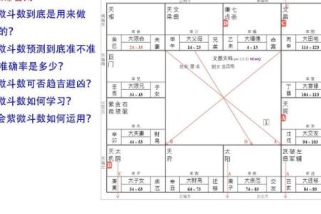 生年紫微斗数 紫薇斗数生年忌？