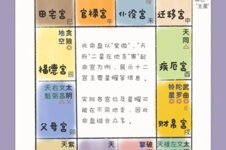 如何紫薇斗数看配偶