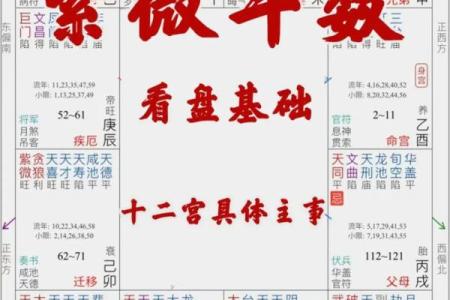 紫薇星盘什么意思