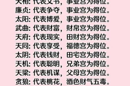 紫薇斗数全书架构