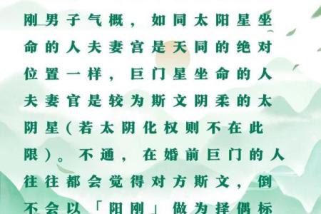 紫微斗数之夫妻宫与诸星,太阳星在夫妻宫是什么意思？