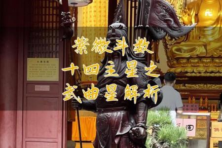 紫微斗数之兄弟宫与诸星,武曲星在兄弟宫是什么意思？