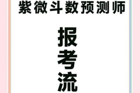 考试上岸紫薇斗数