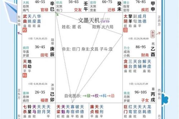 紫微斗数慎和浮 紫微斗数测算？