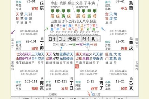 测测的紫薇斗数