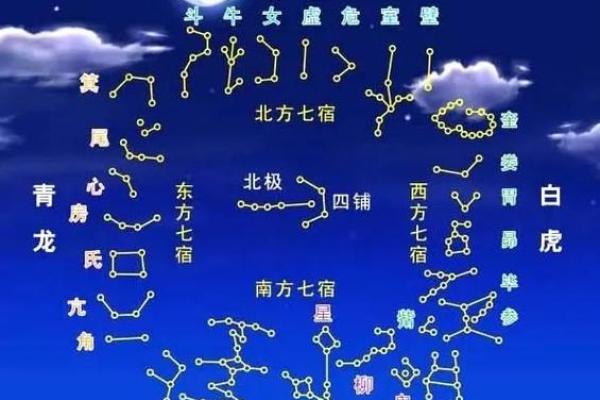 测测的紫薇斗数