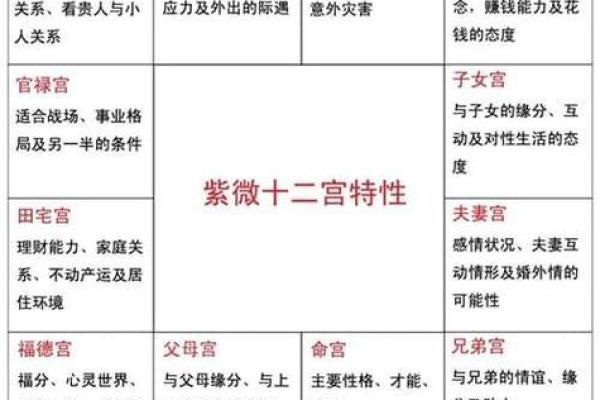 解说紫微斗数 深入解读紫微斗数？