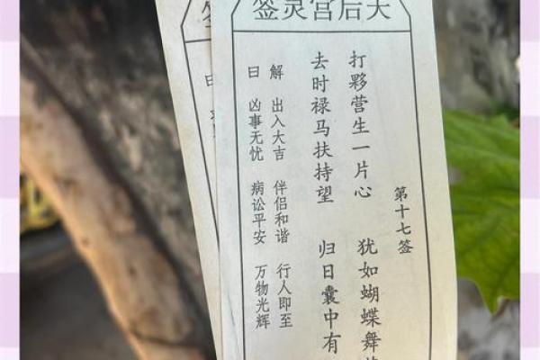 明天干什么去,月老灵签分几种