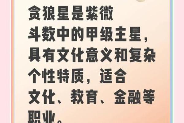 紫薇斗数贪狼
