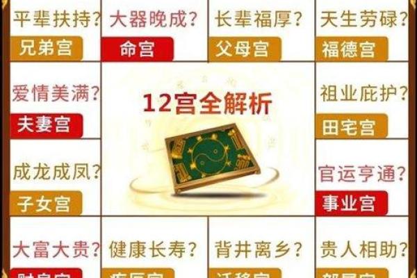 葵葵紫薇斗数入门的简单介绍