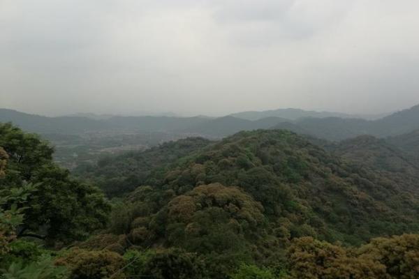 万马归剿风水