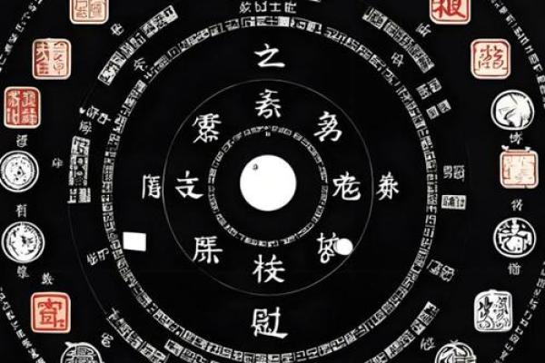 天机紫薇斗数长相