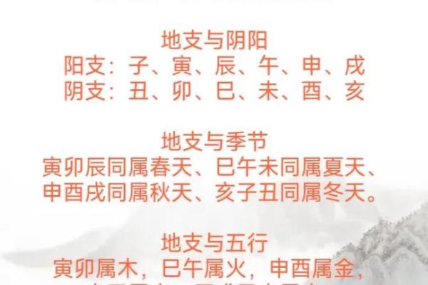 周易和算命、八字是不是一回事呢？到底哪个更准？