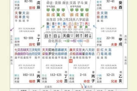 测测的紫薇斗数