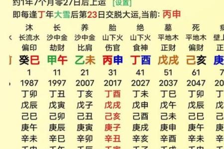 属鸡的人，生辰八字算命自检表，算命从此不求人！