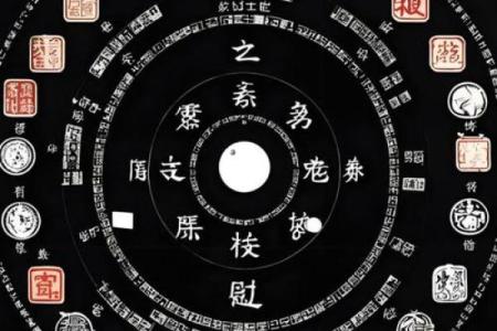 天机紫薇斗数长相