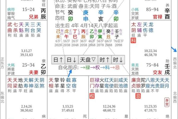 紫微斗数实战 紫微斗数实战案例？
