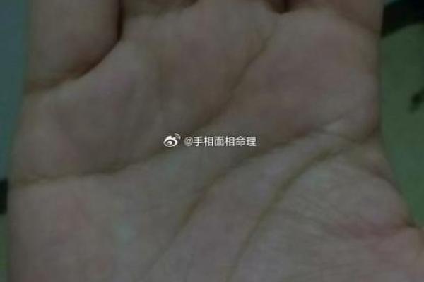 川字掌算命分析