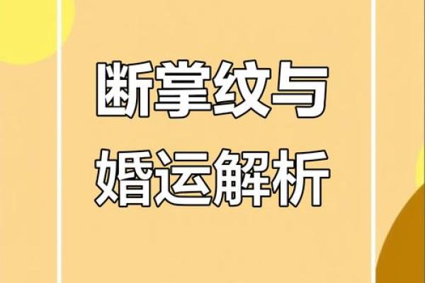 川字掌算命分析