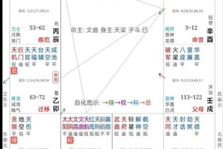 紫薇斗数宫位破