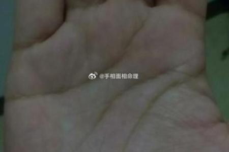 川字掌算命分析
