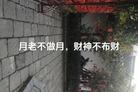 月老不管姻缘财神管歌曲 现在月老都不管姻缘了怎么回答？