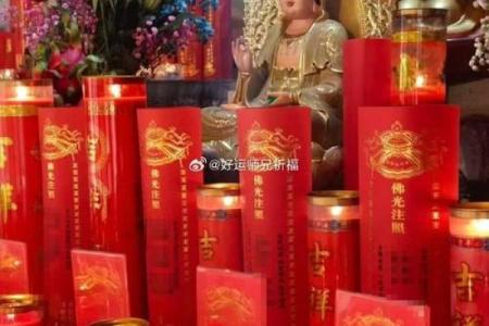 观音菩萨供酒吗