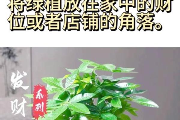 卧室旺财风水