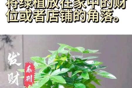 卧室旺财风水