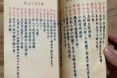 阴阳风水先生葬法书