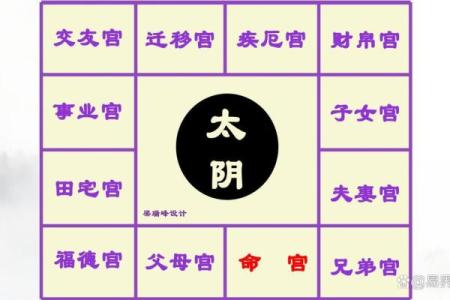 紫微斗数之交友宫与诸星，太阴星在交友宫是什么意思？